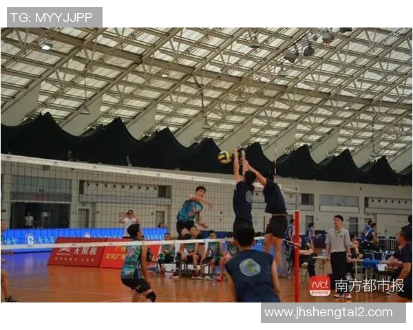 深圳排球队在冠军赛中的技术表现分析与展望
